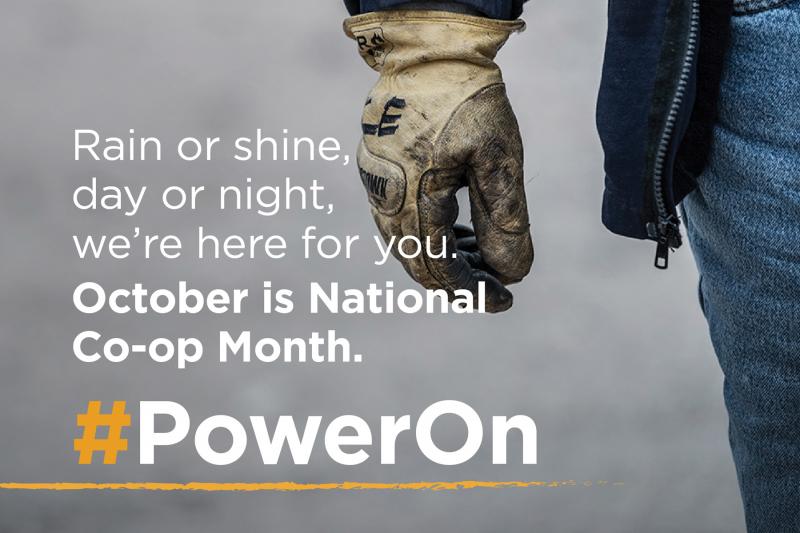 Co-op Month Instragram Graphic