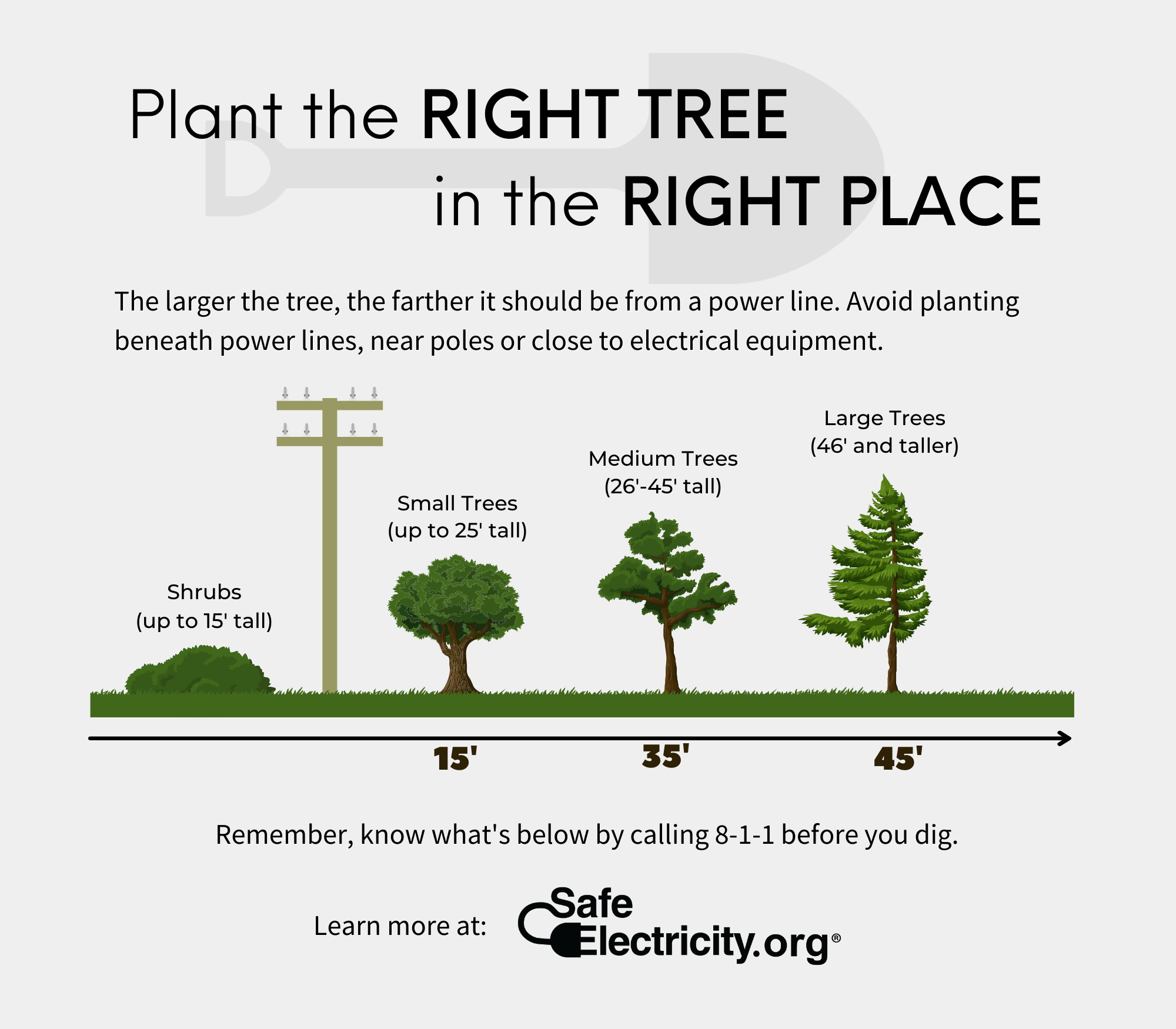 Right Tree - Right Place