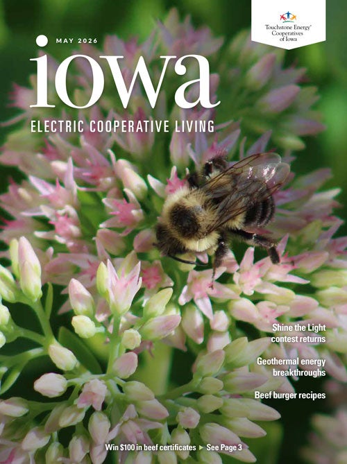 Graphic link to Iowa Electric Cooperative Living